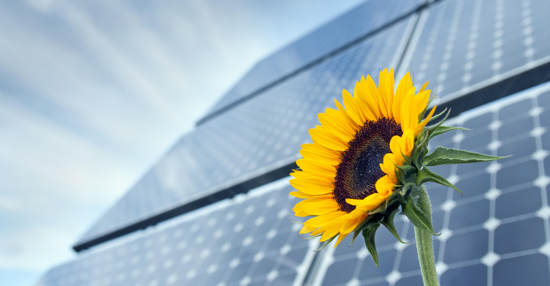 Contacta con varios profesionales instaladores de placas solares y pide presupuestos Contacta con varios profesionales instaladores de placas solares y pide presupuestos