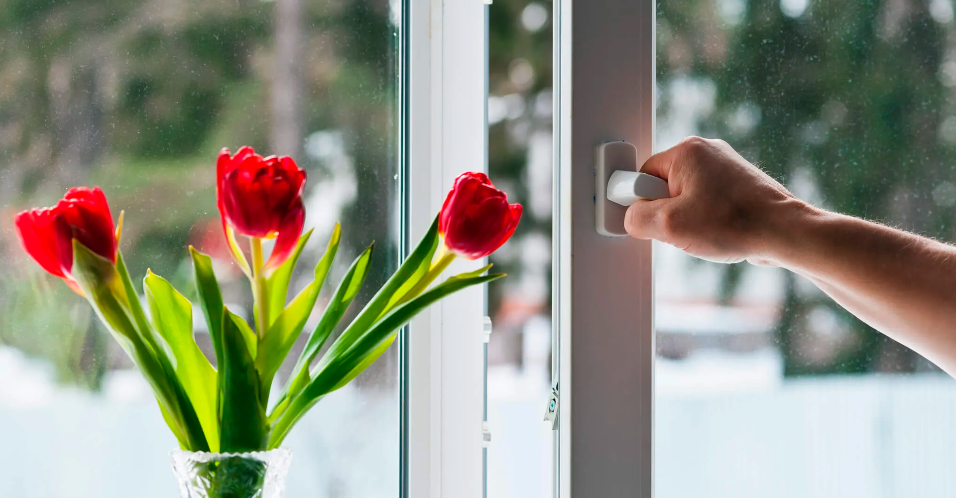 Cuáles son las mejores ventanas contra el calor