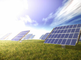 El futuro de la energía: placas solares como fuente renovable