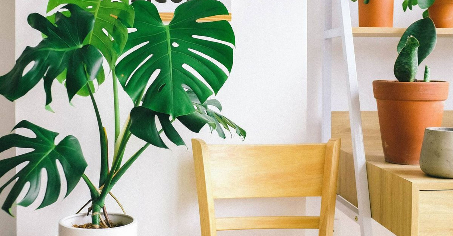 Ajuste del riego en temporada fría