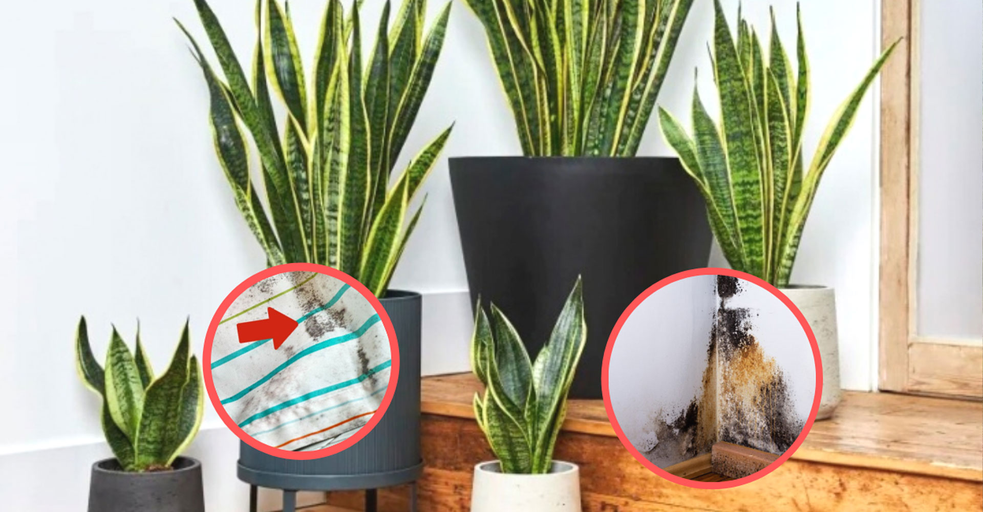 Humedad ambiental en invierno: un factor subestimado